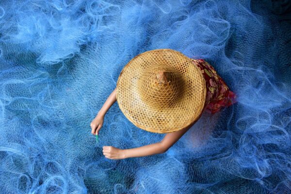 Thai Seafood White Elephant Zürich Thai Seafood White Elephant Zürich